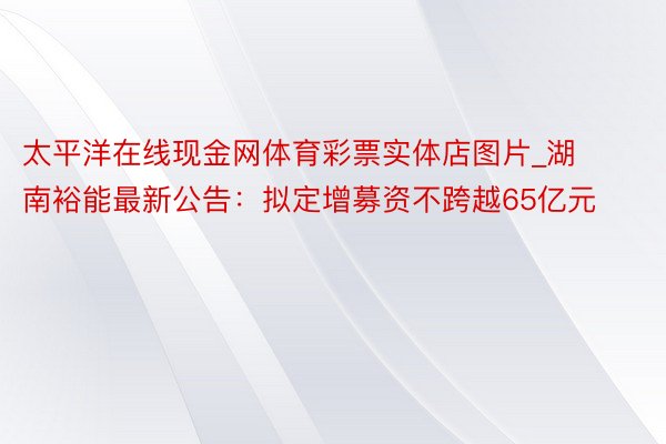 太平洋在线现金网体育彩票实体店图片_湖南裕能最新公告：拟定增募资不跨越65亿元