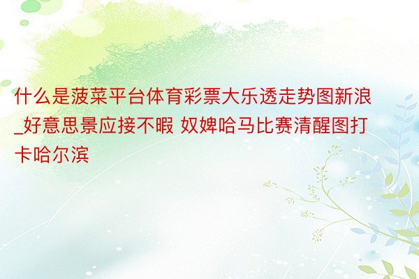 什么是菠菜平台体育彩票大乐透走势图新浪_好意思景应接不暇 奴婢哈马比赛清醒图打卡哈尔滨