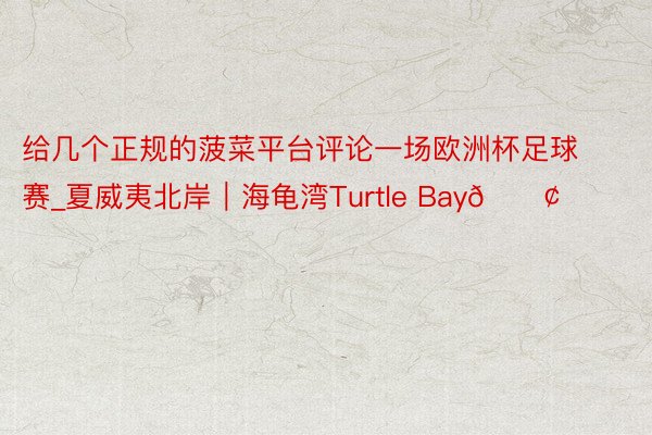 给几个正规的菠菜平台评论一场欧洲杯足球赛_夏威夷北岸|海龟湾Turtle Bay🐢
