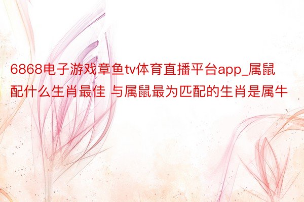 6868电子游戏章鱼tv体育直播平台app_属鼠配什么生肖最佳 与属鼠最为匹配的生肖是属牛